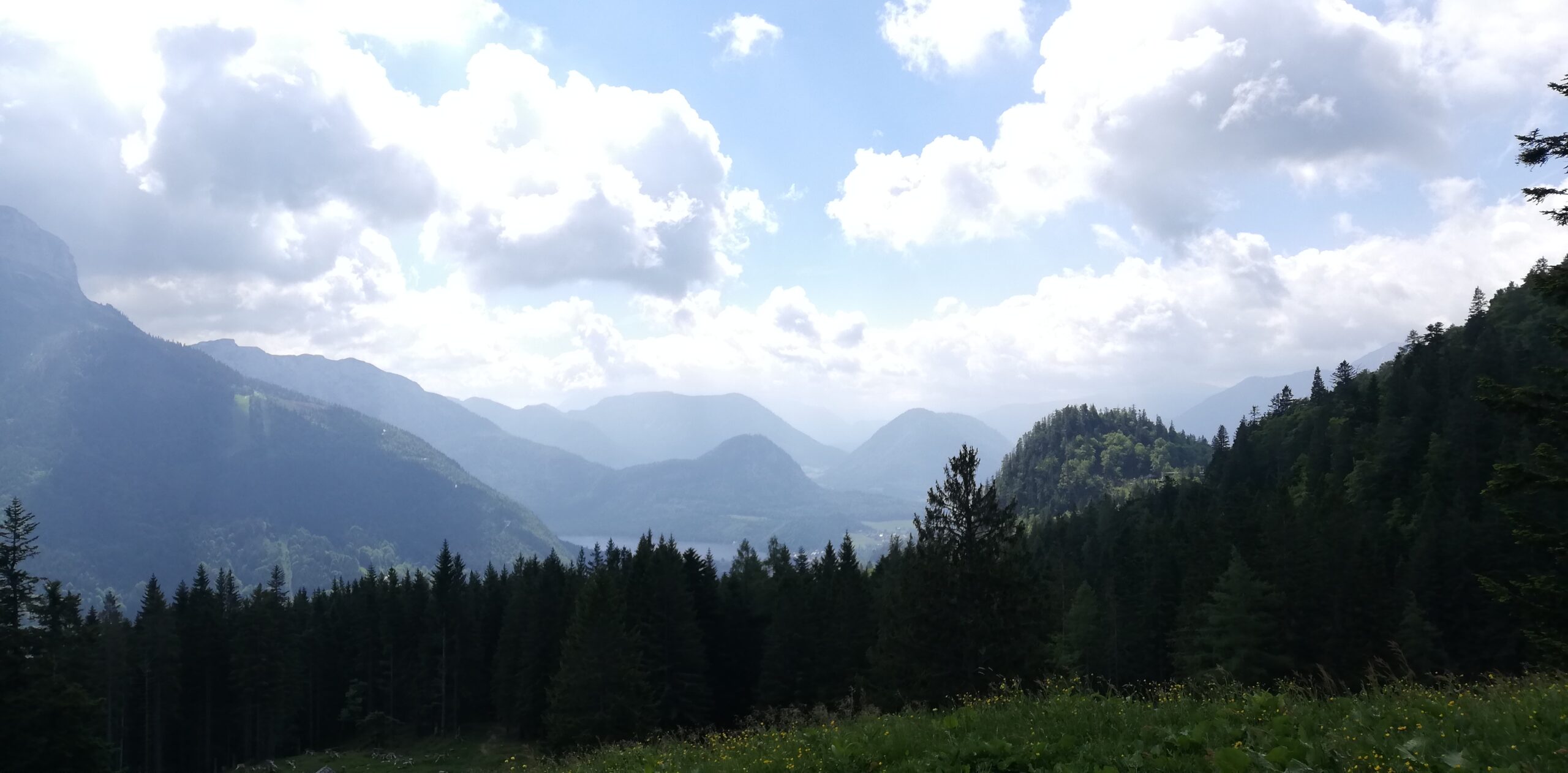 Blickaltaussee Barfuss auf einem Weg