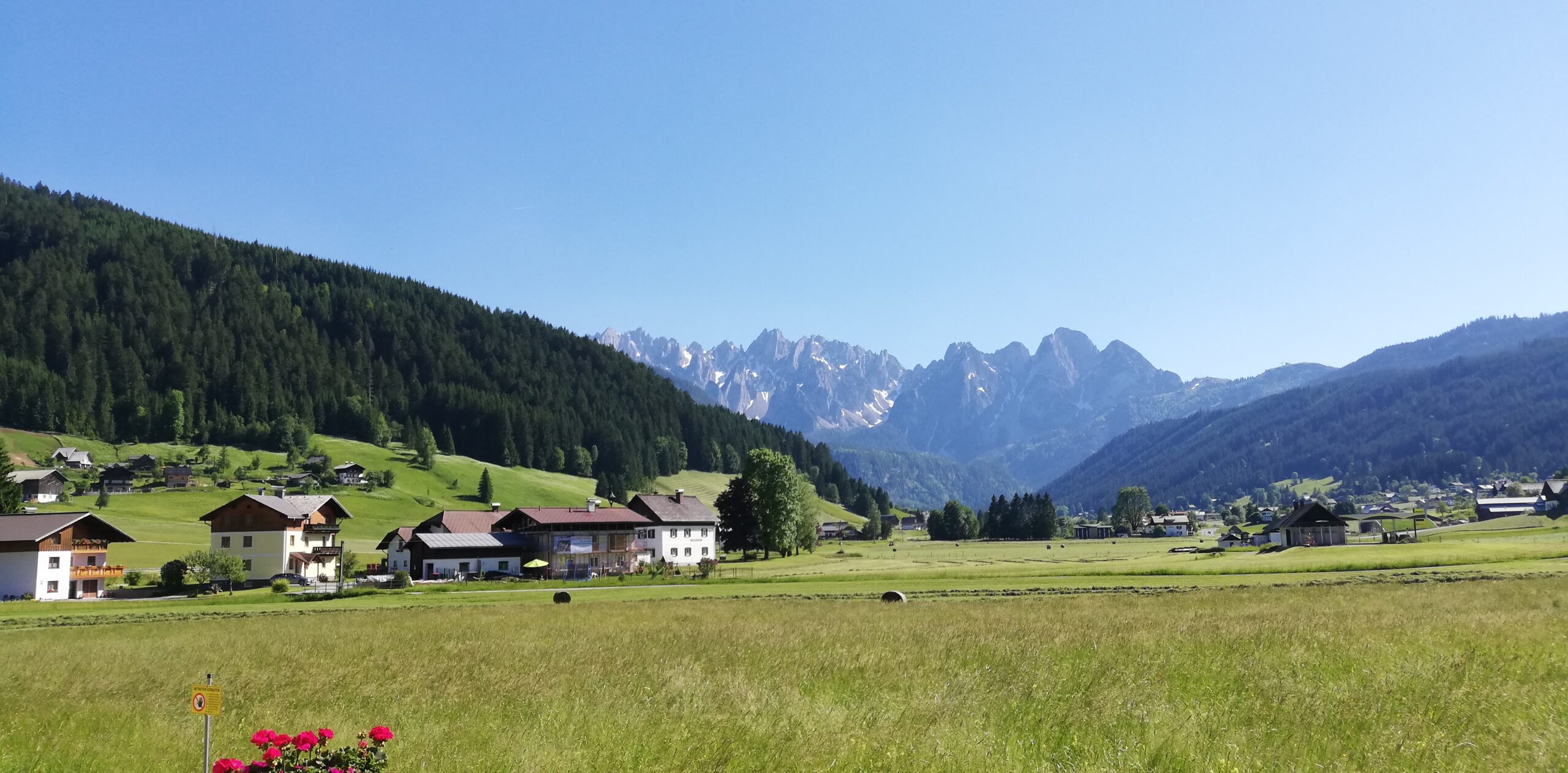 GosauIdyll Barfuss auf einem Weg