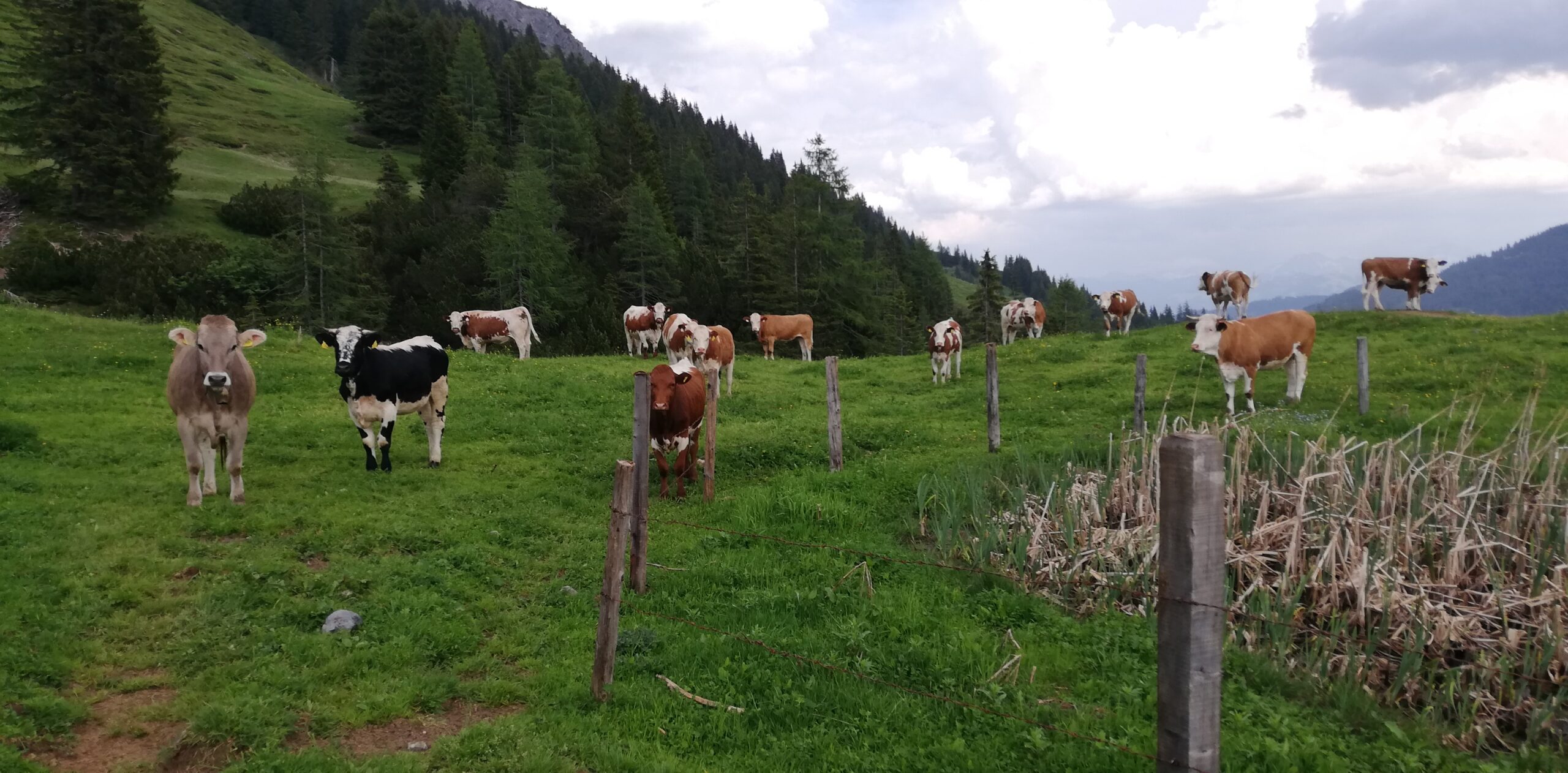 Barfuss auf einem Weg