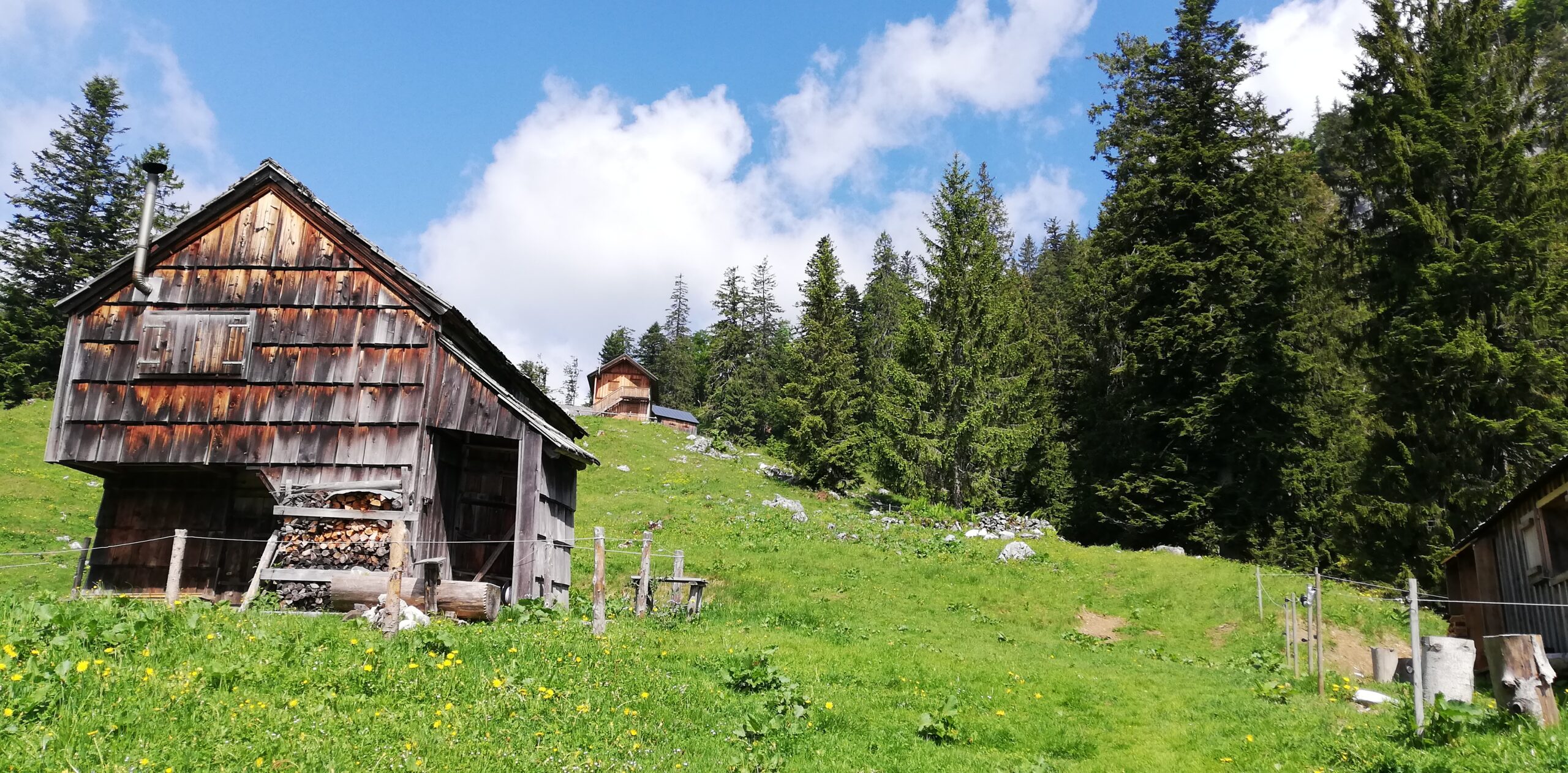 SandlingalmAussee Barfuss auf einem Weg