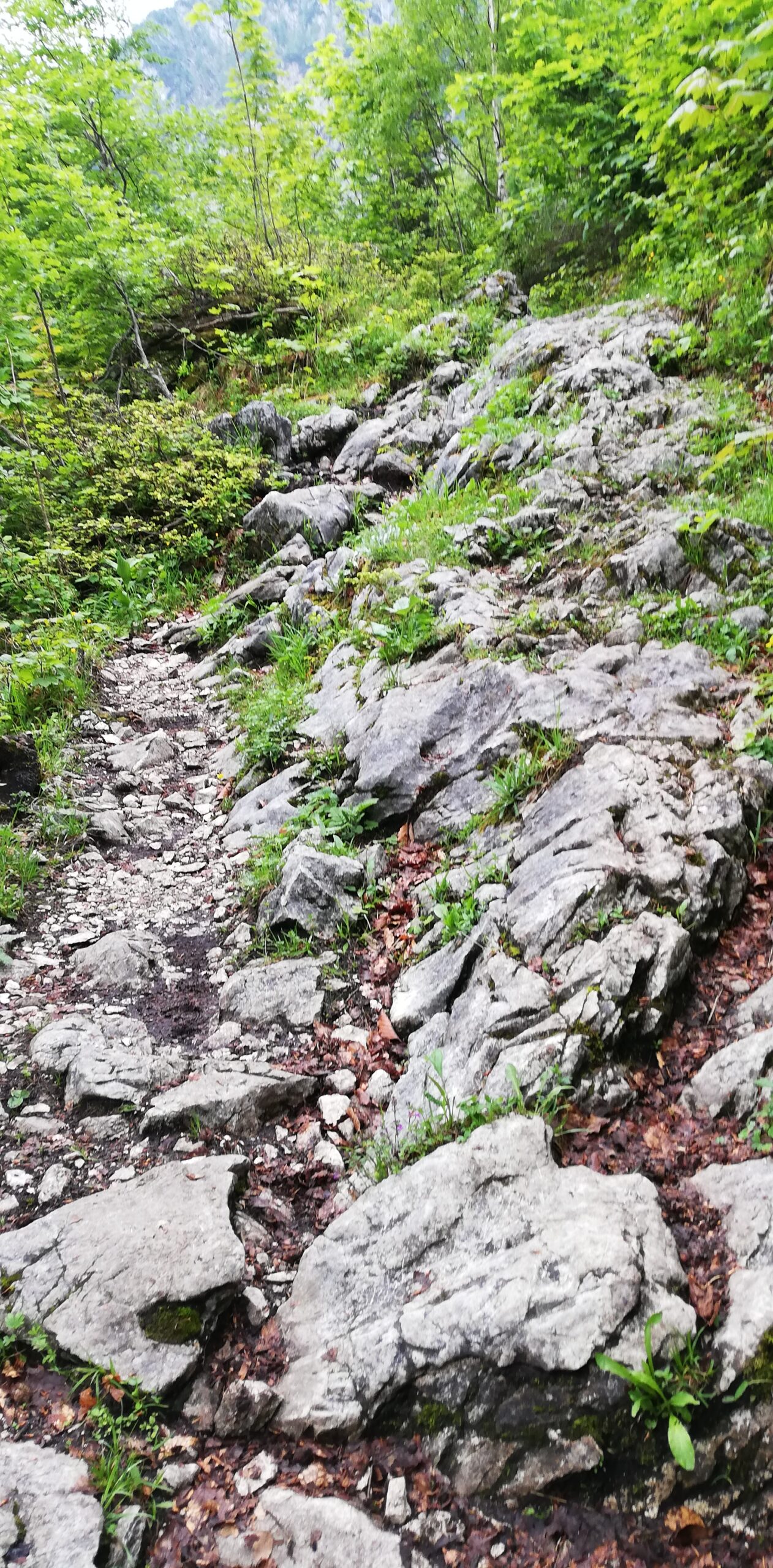 Steinstufen Barfuss auf einem Weg